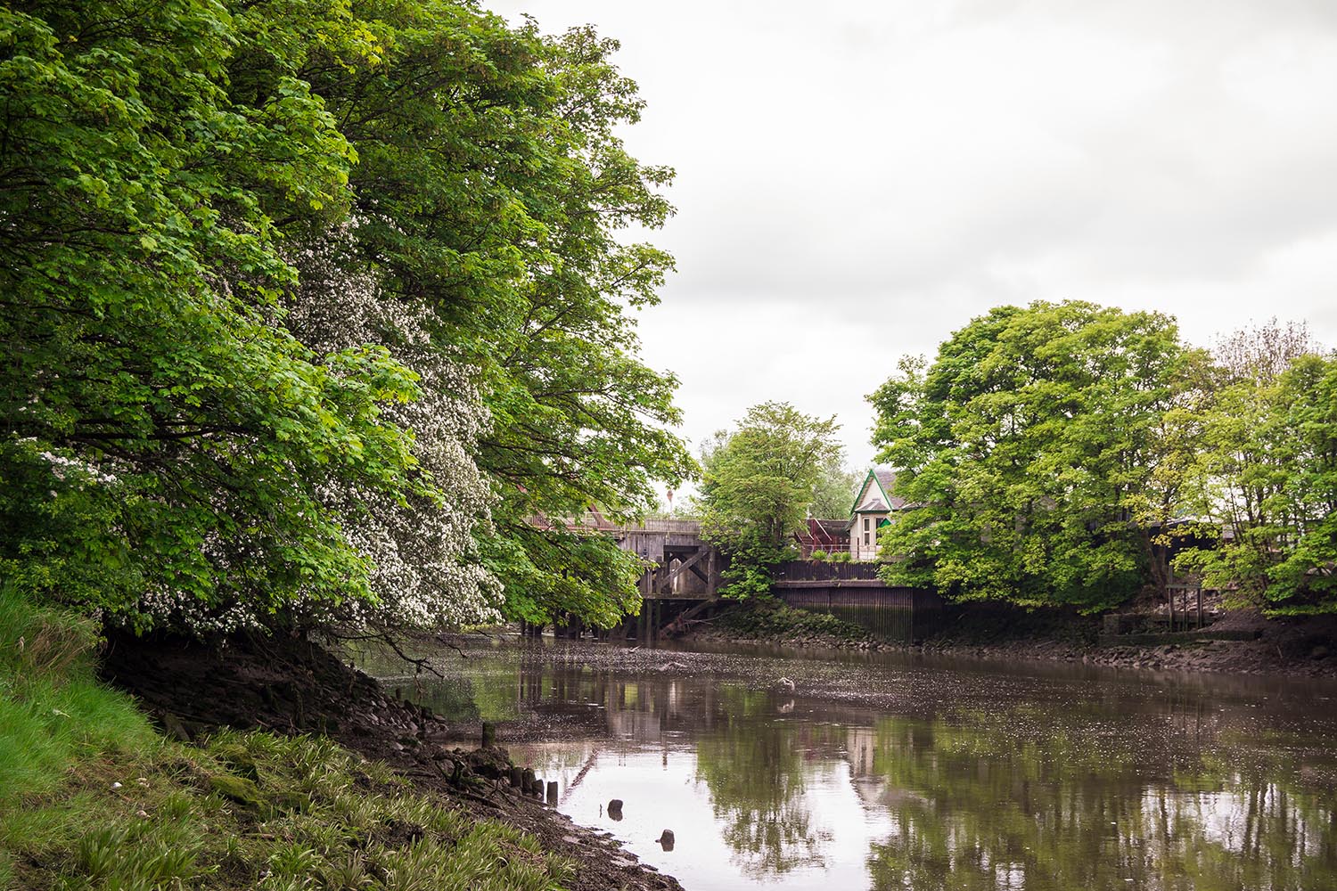 White Cart Water, photo ©Lesley Adams Photography