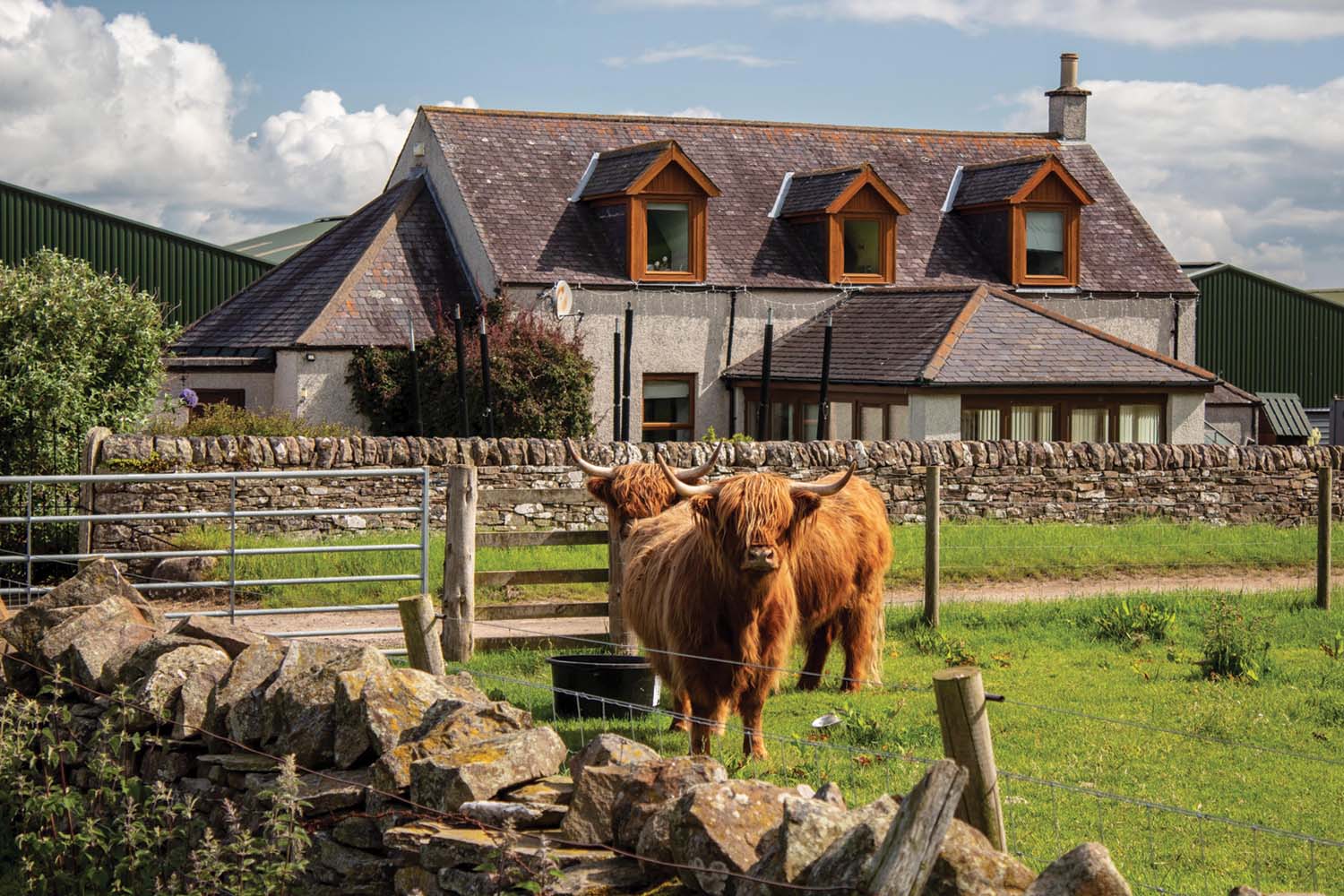 Newton Farm Holidays
