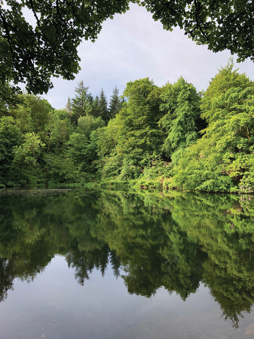 Microadventuring in Renfrewshire
