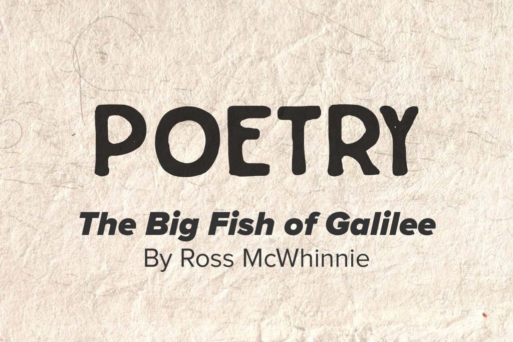 The Big Fish of Galilee