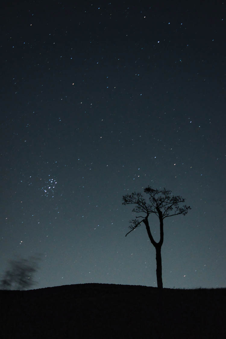 Stargazing