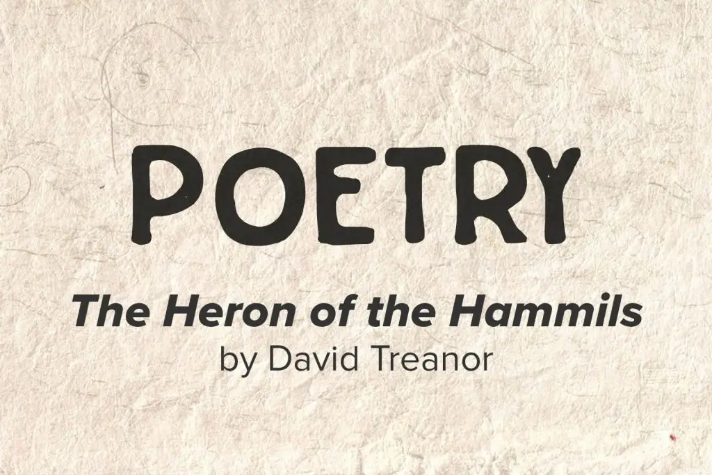 The Heron of the Hammils
